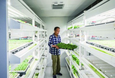 浦口節(jié)水型育苗技術(shù)實(shí)現(xiàn)突破，節(jié)水率達(dá)50%并啟動(dòng)全國(guó)推廣與技術(shù)轉(zhuǎn)讓